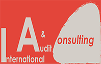International Audit & Consulting
